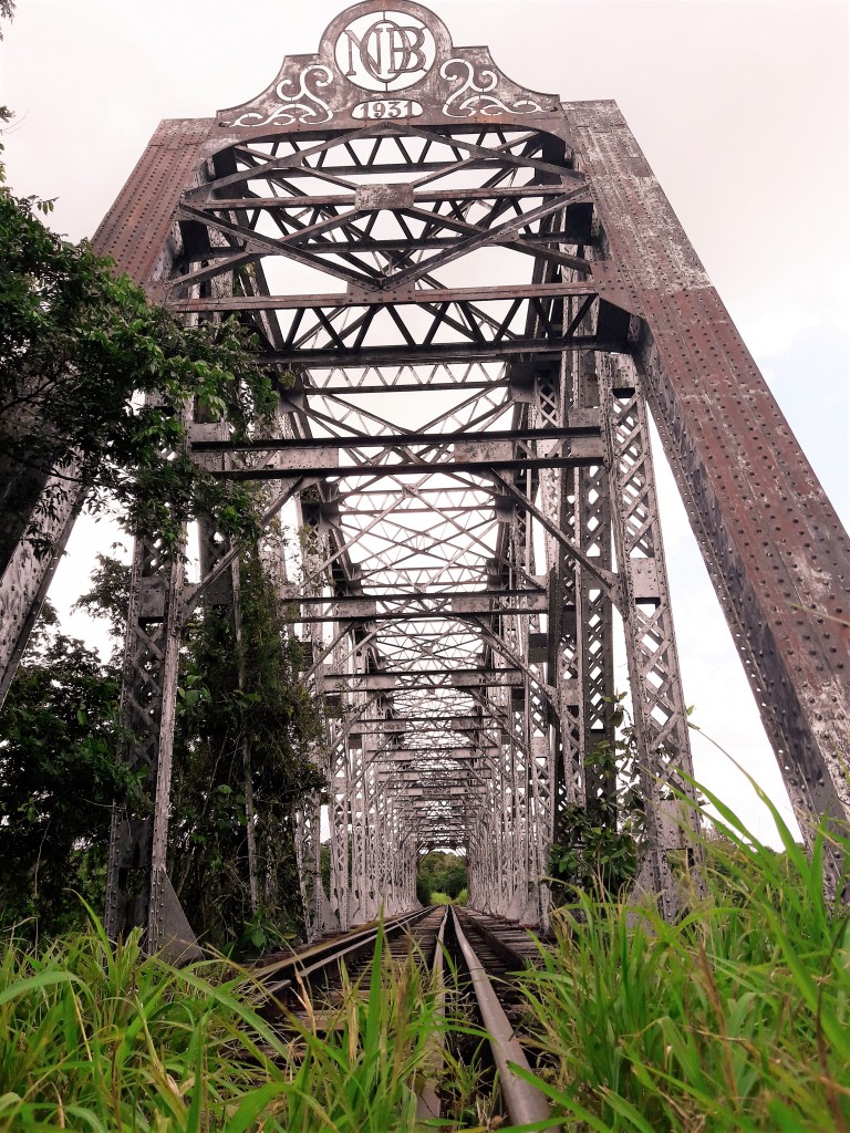  Ponte da linha férrea sobre o rio Miranda.  Miranda-MS. Foto: Vanessa Spacki